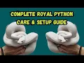 Complete Ball Python Care Setup Guide