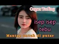 Download Lagu ORGAN TARLING _ ISEP ISEP TEBU _ MANTAP UNTUK DI PUTAR ‼️💃@yudasuprianto8442 