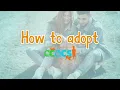 Corpus Christi Animal Care Services How to Adopt a Pet