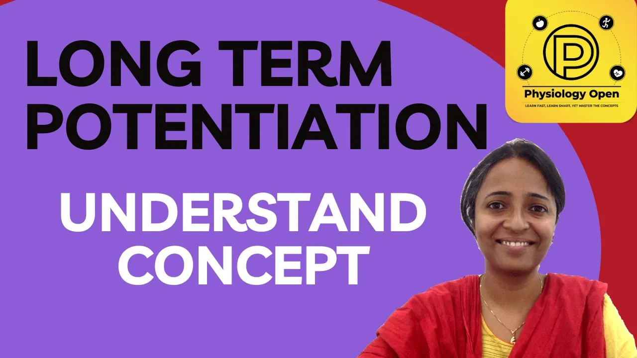 Long term potentiation learning and memory | synaptic plasticity | CNS physiology mbbs 1st year