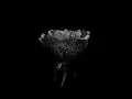 NateTaylorr,Mellina Tey-Cry Later