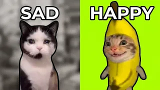 Banana Cat Helps His Friends! 🍌 Cat Memes Compilation