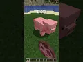 Minecraft Renaming Trick