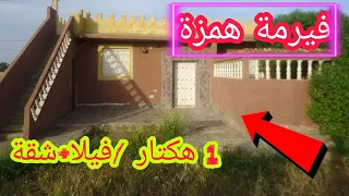 فيرمة فيها فيلا فخمة  شقة واشجار متنوعة من الفواكه دندنها