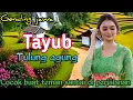 KUMPULAN GENDING JAWA // TAYUB TULUNG AGUNG // COCOK BUAT TEMAN SANTAI - GAYENG TENAN LURR
