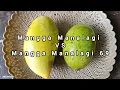 Lagu ADU RASA!! MANGGA MANALAGI VS MANALAGI 69, ENAK MANA YA?!