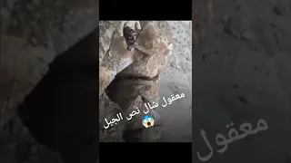 فيديو مرعب شاب يمني زاح شطر من الجبل ماذا لو تزحلق باقي الجبل دندنها