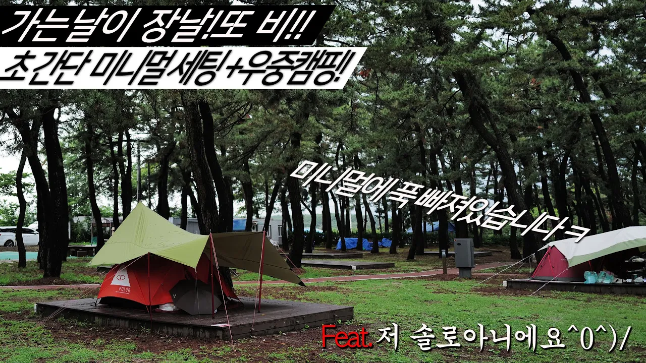 가는날이 장날~  또 비!! 초간단 미니멀세팅 + 우중캠핑   연곡 솔향기 캠핑장 サムネイル