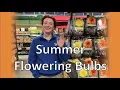 Summer Flowering Bulbs and Edibles Gertens Annual Expert