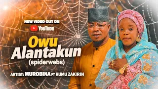 owu alantakun spider web 