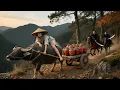 Download Lagu 【2025精選古裝劇】惡霸欺負酒館老闆娘，怎料她身手了得，一記飛腿輕鬆反殺#movie 丨完整版丨中文字幕丨2025最新版 #4K#古裝劇