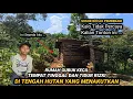 Lagu BOCAH PEMBERANI YANG NEKAD TINGGAL DI HUTAN PALING ANGKER Di JAWA BARAT