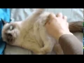 flirting reaction gif