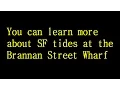 San Francisco Tides