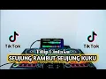 DJ SEUJUNG RAMBUT SEUJUNG KUKU TITIP CINTAKU - DJ TIK TOK VIRAL FULL BASS TERBARU 2022 Mp3 Song Download