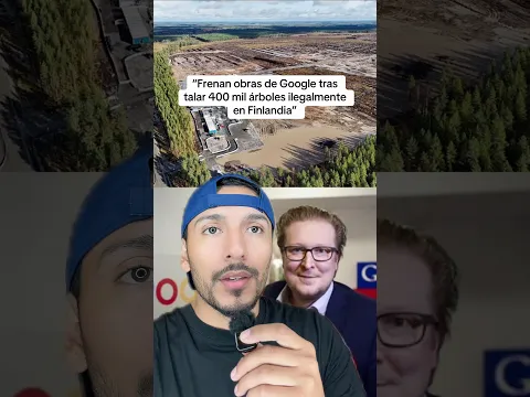 Frenan obras de Google en Finlandia tras talar 400 mil árboles #sabiasque #curiosidades #shorts
