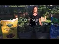 Container Garden Soil Comparison Magnolia Street Garden