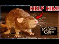 Many players missed this Rat s complaint in Emerald Grove Baldurs Gate 3