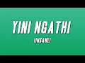 Download Lagu Felo Le Tee - Yini Ngathi (Insane) [Lyrics]
