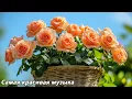 Download Lagu Сборник лучших мелодий, от которых мурашки по коже🌿Лучшая музыка в мире🌿Музыка Сергея Грищука #3