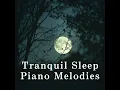 Silent Rhythm of Night