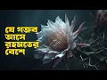 Download Lagu যে গজব আসে রহমতের বেশে