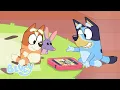 Download Lagu Les jouets préférés de Bluey | Bluey Français Chaîne Officielle