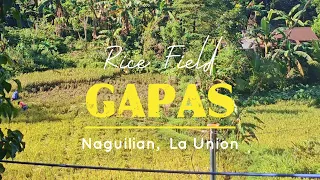 Out The Window Kehlani 