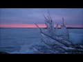 Phillip Wilkerson - Still Point (Full Album)