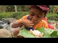 Download Lagu [FULL] PANTANG PULANG TANPA COBEK DI TANGAN | SI BOLANG (17/11/23)