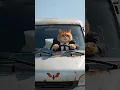 Lagu Big cat goes to pick up Xiao Fang #ai #funny #catshorts