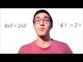Infinitesimals and Non Standard Analysis