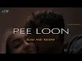 Pee Loon - Lofi Mix (Slowed + Reverb) | Mohit Chauhan | LOFi.422