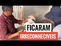 Download Lagu COMO FOI TOSQUIAR AS OVELHAS DO SÍTIO? DIA DE MUITO TRABALHO .