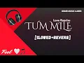Download Lagu Tum Mile [Slowed+Reverb] - Javed Ali | Love Reprise | Slowed and Reverb Songs 2021 | DMR Music Ajmer