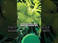 Download Lagu Who is Marvel’s One Below All?