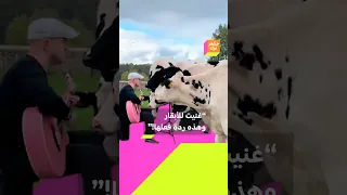 يغني للأبقار وردة فعلها غير متوقعة 