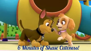 paw patrol 6 minutes of skase cuteness