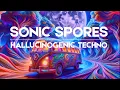Download Lagu Sonic Spores | Hallucinogenic Techno Dub