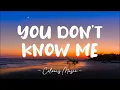 Download Lagu Jax Jones - You Don't Know Me ft. RAYE (Lyrics) 🎼