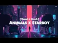 Download Lagu Animals x Starboy (slowed+reverb)