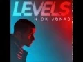 Download Lagu Nick Jonas - Levels (Audio)