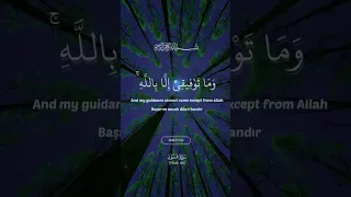 وما توفيقي إلا بالله عليه توكلت وإليه أنيب                                     دندنها