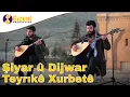 Download Lagu Şiyar û Dijwar Teyrıkê Xurbetê  Yeni-Nu-New 2018 (akustik)