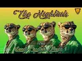 Download Lagu The Hightails - The Best (Track #7) on Sweet Cheetah Music, Vol 4: The Stylization