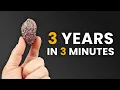 Lagu I planted a Date Palm Seed and filmed it for 3 years
