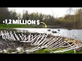 How Did Beavers Finish a 7-Year Unfinished Dam in Just 2 Days
