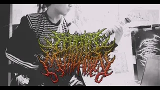 Download SEDERAI MUTILATION - Kerusakan Organ Otak (guitar cover) MP3