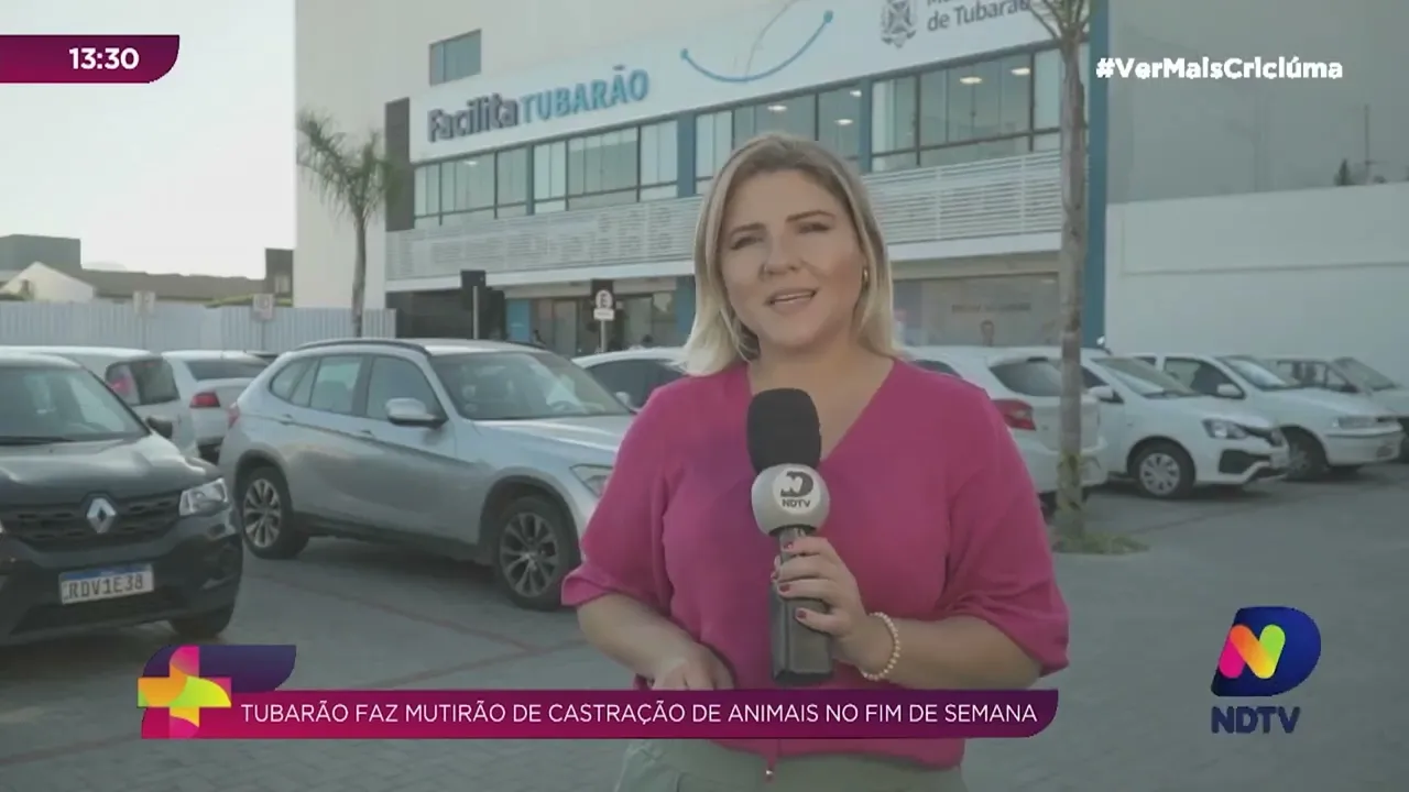 Tubarão realiza mutirão de castração de animais no próximo domingo (1º)