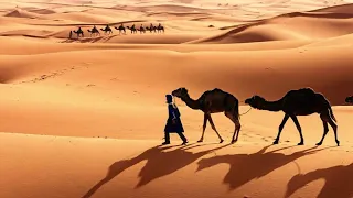 Rachid Gholam موال رائع عيني لغير جمالكم لا تنظر جديـــــــد الفنان رشيد غلام 